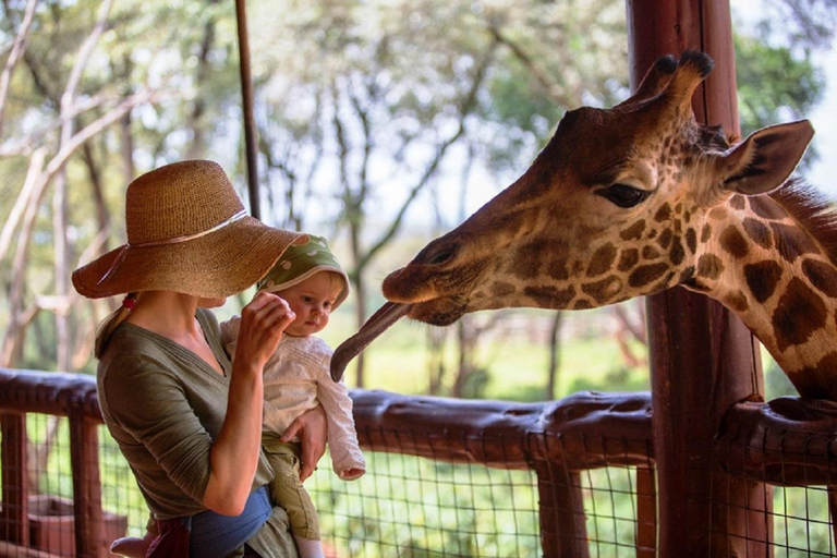 Nairobi : Visite de l'orphelinat des éléphants et du centre des girafes