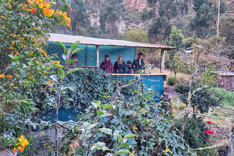 Tour and visit to the hummingbird sanctuary in Cusco