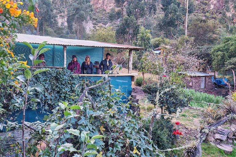 Tour and visit to the hummingbird sanctuary in Cusco