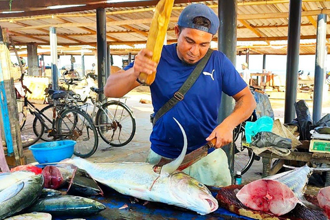 Negombo Stadsvandring : Fiskmarknad och båtresa i Dutch Canal