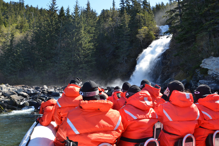 Skagway: Ocean Raft Adventure Along Scenic Coastline