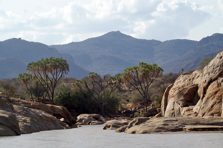 Da Nairobi: Safari di 3 giorni nella Riserva Nazionale di Samburu