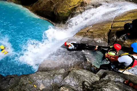 Cebú: Excursión en grupo a Oslob con tiburón ballena y barranquismo, con almuerzo