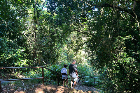 Essence of Iguazú: Full-Day Tour of Iguazú Falls (Brazil Side) and São João Trail Essence of Iguaçu: Full Day at Iguaçu Falls, Brazil, and São João Trail