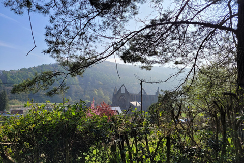 Au départ de Cardiff : Visite des vallées galloises