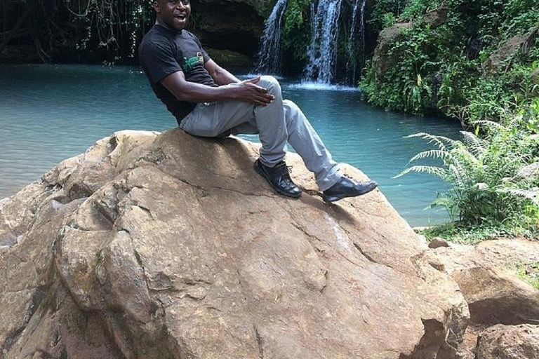 Nairobi: Caminhada pela Floresta Ngare Ndare e Canopy WalkNairobi: Caminhada pela Floresta Ngare Ndare e Passeio pela Copas das Árvores