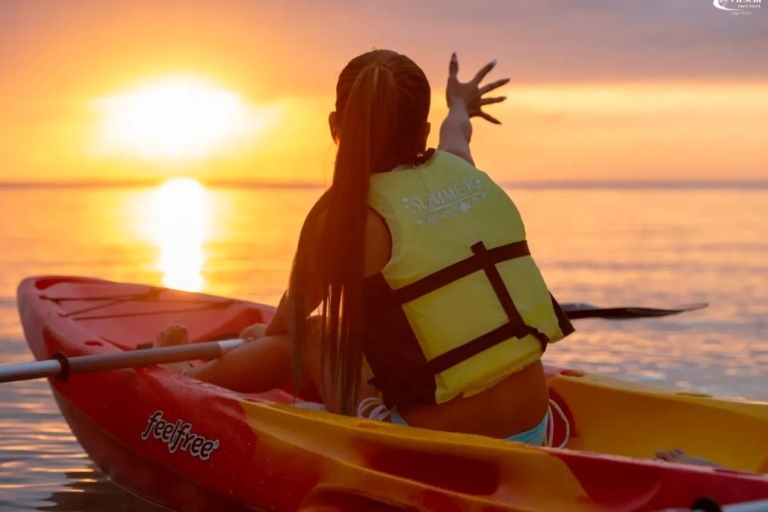 Excursión guiada en kayak: Una Odisea Pacífica