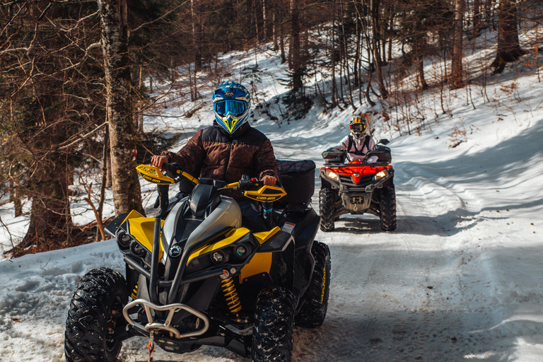 Busteni: Guided ATV Quad Bike Adventure