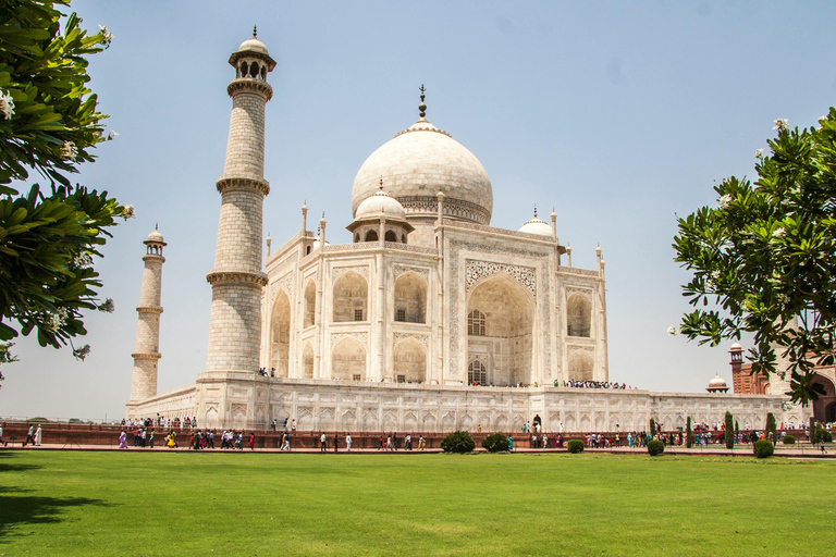 Nueva Delhi: Tour privado en grupo por el Taj Mahal con ticket de entrada