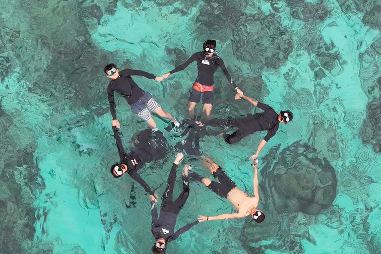 Langkawi: Dangli Island Snorkeling