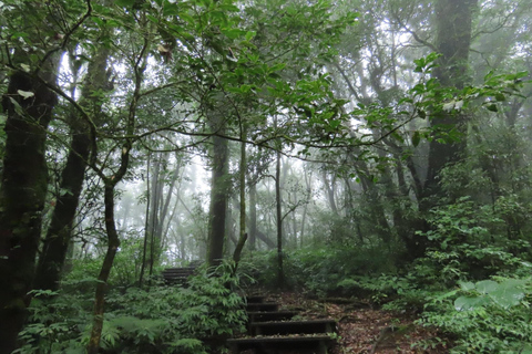 Doi Inthanon e Kew Mae Pan: Natura, cultura e avventura