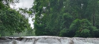From Palenque, Palenque and Roberto Barrios Waterfalls Tour - Housity