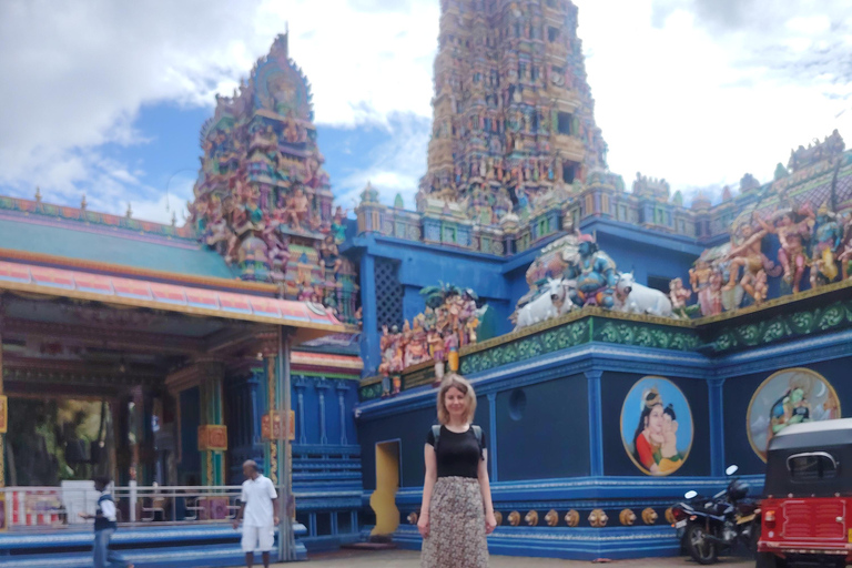 From Kandy: Sigiriya Rock Fortress & Dambulla Day Trip