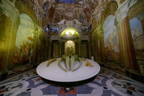 Pałac Dożów w Genui: bilet wstępu na wystawę Moby Dick – Wieloryb.Pałac Dożów w Genui: wystawa Wieloryb Moby Dick.