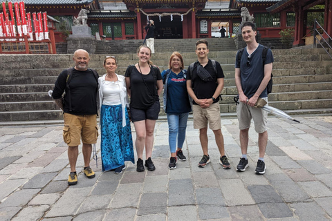 Nikko : visite guidée privée en voiture avec guide anglais