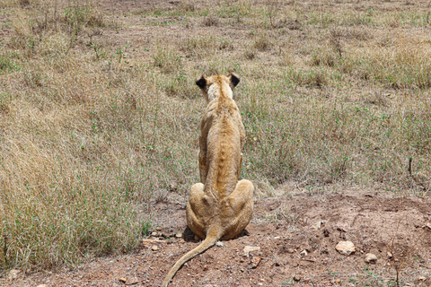 Privérondleiding door het Nairobi Nationaal Park