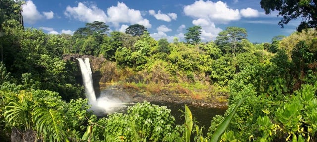 Hilo: Vulkan-Nationalpark &amp; Wasserfall-Tour