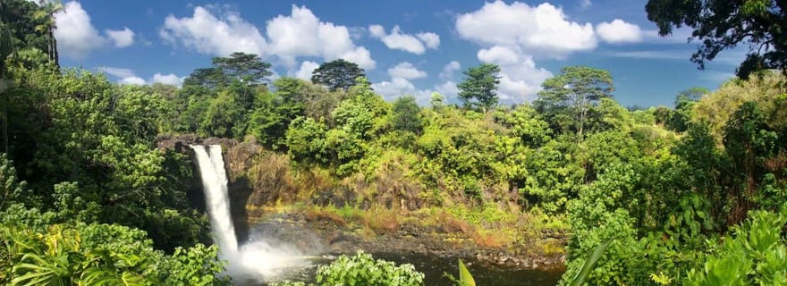 Hilo : visite du parc national des volcans et de la cascade