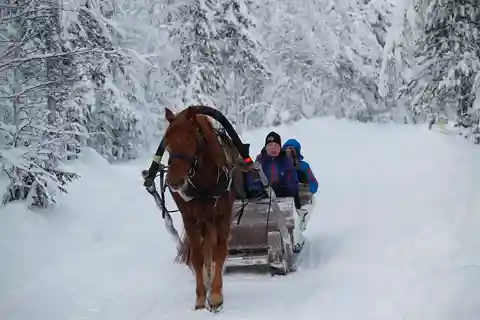 Levi, Paseos con Luces Polares: Paseo en trineo abierto de un caballo