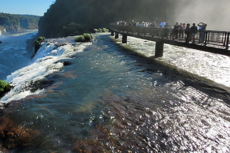 Iguassu Falls: Brazilian Side Private Tour