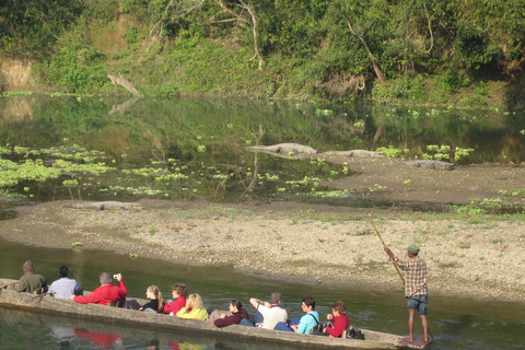 2 nuits et 3 jours de safari dans la jungle de Chitwan