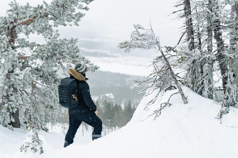 Rovaniemi: ciaspolate nella natura selvaggia dell&#039;Artico