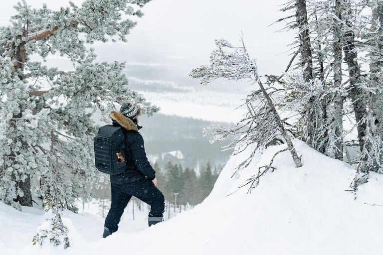 Rovaniemi: Snowshoeing in the Arctic Wilderness