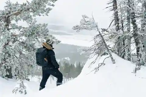 Rovaniemi : Randonnée en raquettes dans la nature arctique