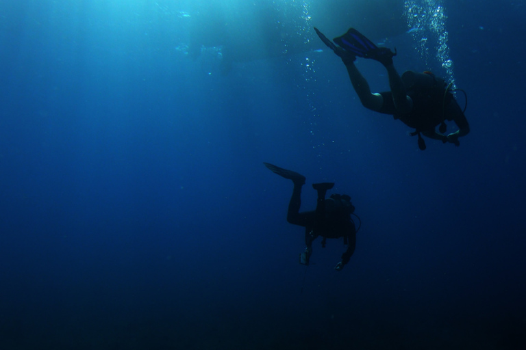 Larnaca: Private Zenobia Qualified Divers