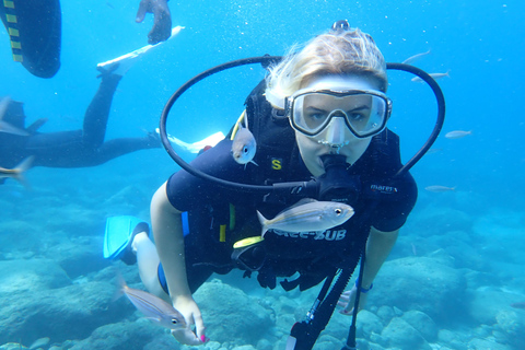 Alanya: Full-Day Scuba Diving Tour with Lunch /2 Dives