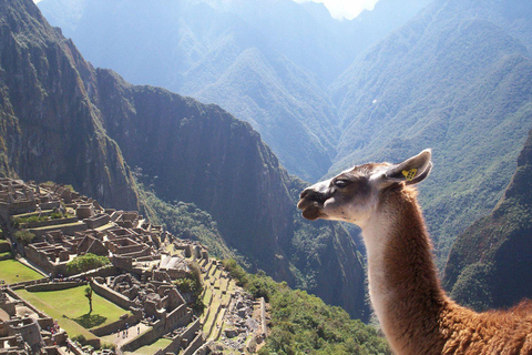 Hoogtepunten van Peru en Bolivia