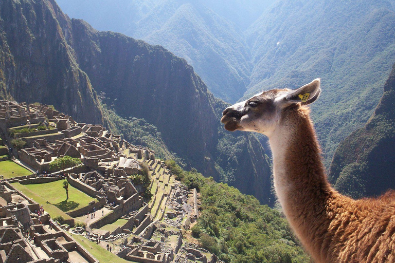 Peru + Bolivia Höjdpunkter