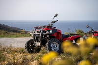 From Malta, Gozo Full-Day Quad Tour with Lunch and Boat Ride - Housity