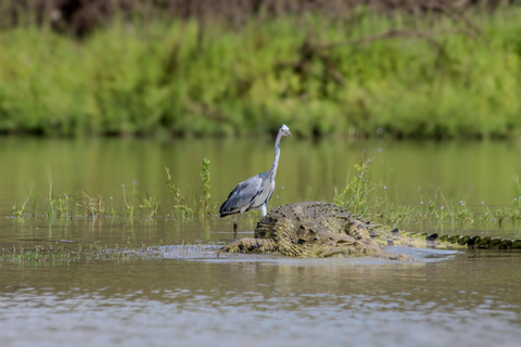 Safari de pesca inesquecível de 3 dias em Selous GR /Nyerere NP.