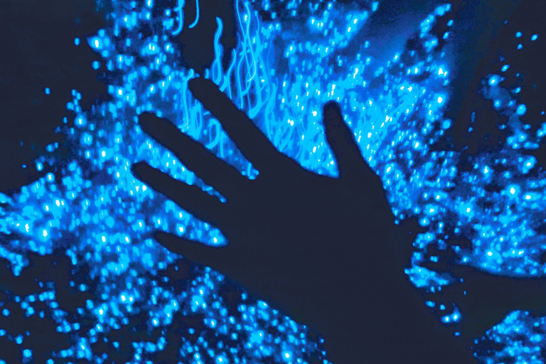 From Osaka: Awaji Island Magical Blue Sea Firefly Night Tour From Namba