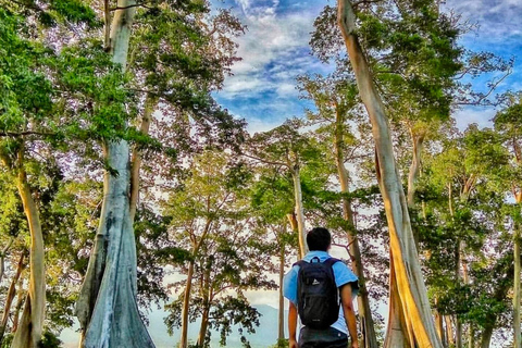 Secret Gili's Lombok: Gili Kondo, Kapal, Petagan, Bidara Start From: Senggigi,Mangsit,Mataram,Airport Lombok