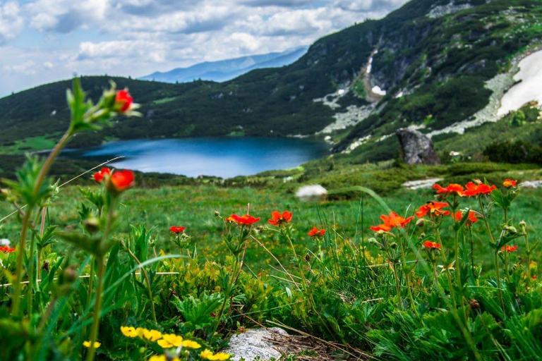 Plovdiv: Seven Rila Lakes Guided tour