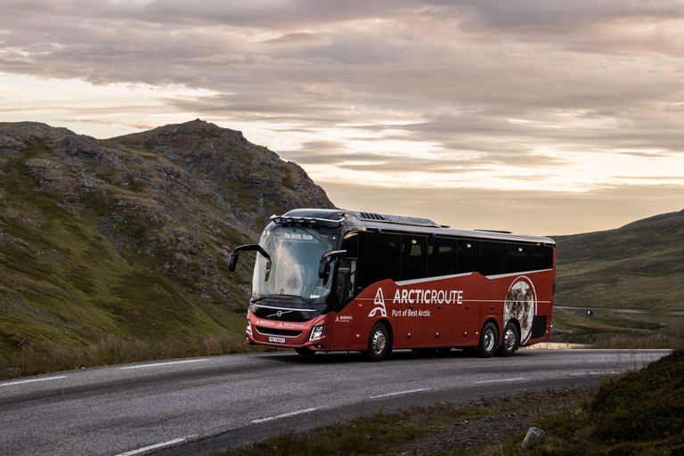Tromsø: Sommarøy Roundtrip Bus Transfer with Arctic Route