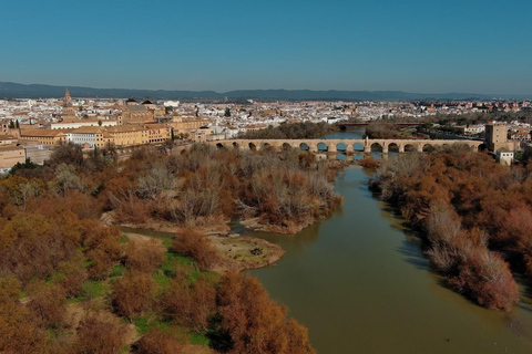 Seville: Cordoba Private & Fully Customizable Day Tour