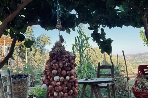 Gebiet Chania: Kochkurs auf einem Bauernhof im Dorf StylosKochkurs mit traditionellen Gerichten und biologischen Lebensmitteln