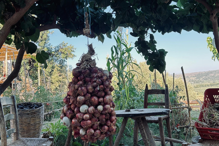 Gebiet Chania: Kochkurs auf einem Bauernhof im Dorf StylosKochkurs mit traditionellen Gerichten und biologischen Lebensmitteln