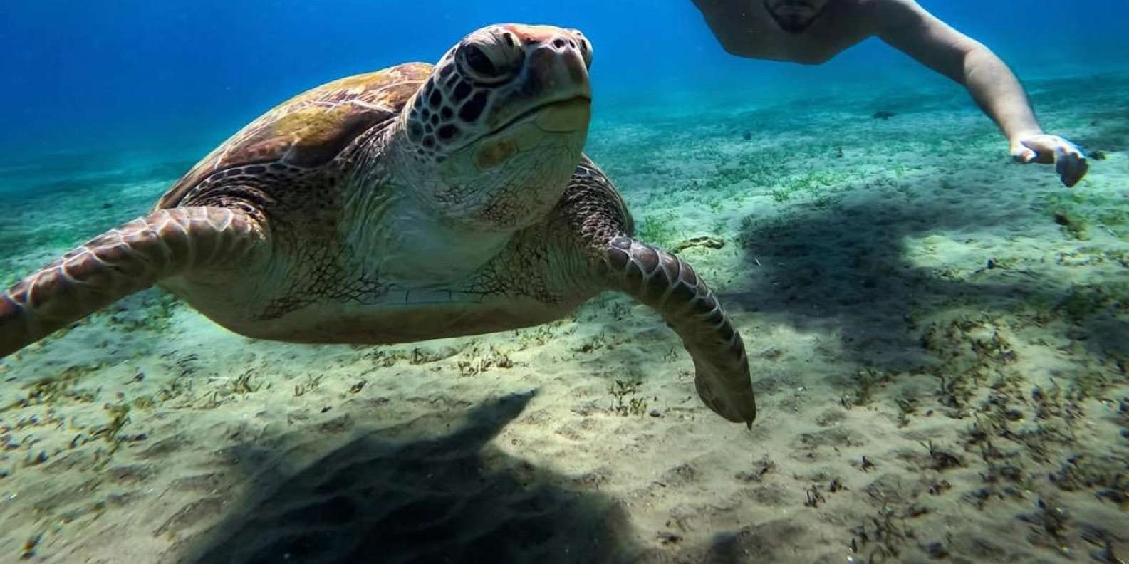 Bali: Blue Lagoon Snorkeling With GoPro/Massage & Transfers