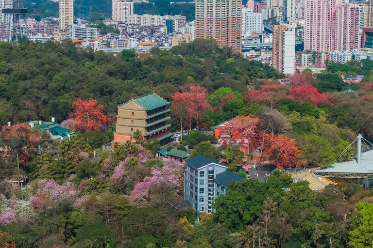 Guangzhou: Old & New City Tour with Pearl River Night Cruise Small Group (Max 15) : Old & New City Tour & Night Cruise