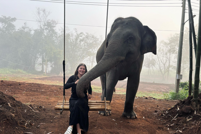 Chiang Mai 2-Day: Good Morning Elephant & Overnight Homestay