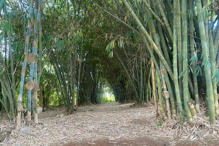 Excursion d&#039;une journée à la plantation de café Fairview depuis Nairobi