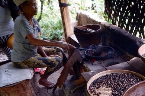 Ubud: 4 Waterfalls full day Tour ticket included