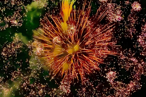 From Osaka/Kyoto: Tenjin Matsuri Fireworks&Yukata Experience From Osaka (Men's Yukata Experience)