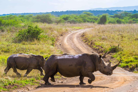 Nationaal park Nairobi, olifantenweeshuis en giraffencentrum