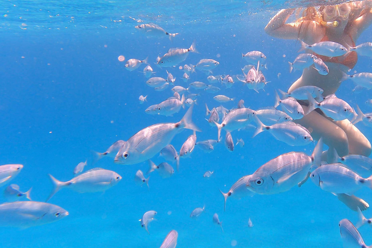 Villasimius 3,5 Std. Meerespark-Tour mit Schnorcheln &amp; GetränkenExklusive Tour