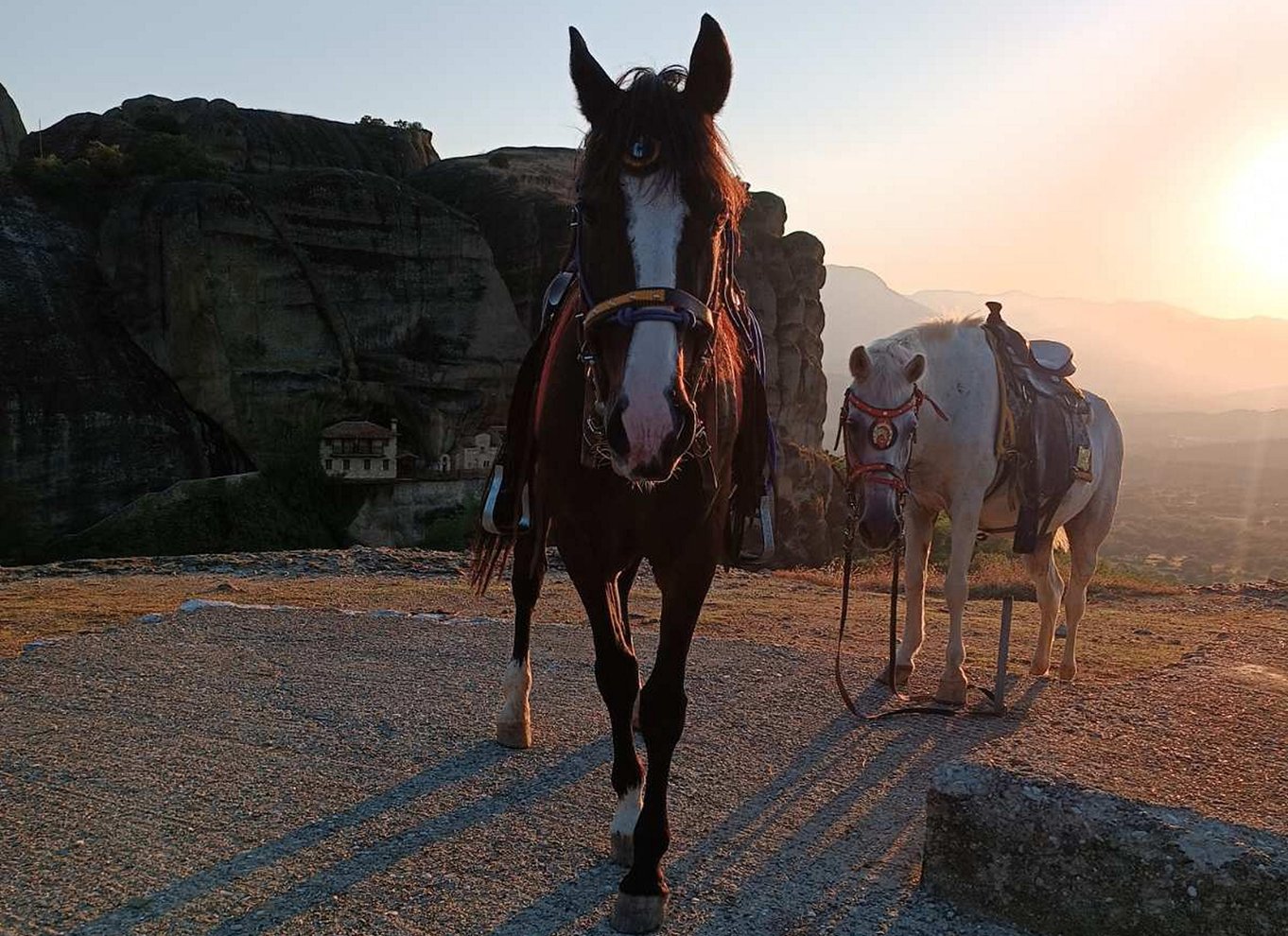 Kastraki: Ridning ved solnedgang i Meteora